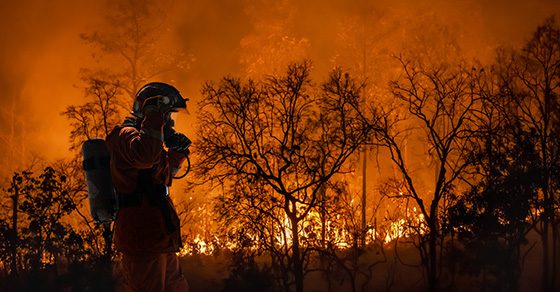 firefighter standing in front of forest fire